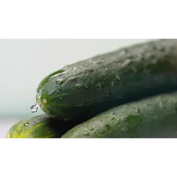 Natural Cucumber
